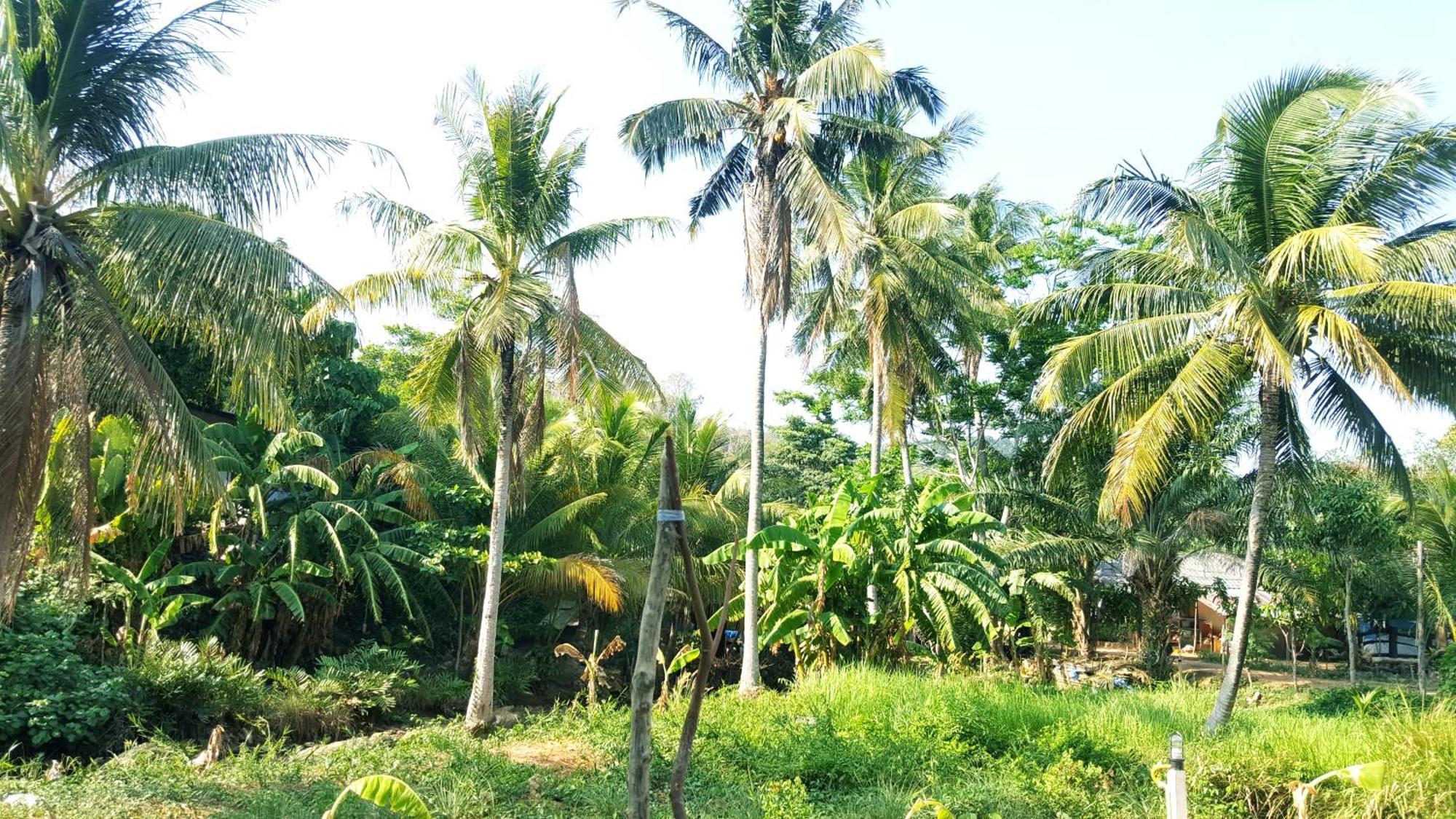 Home No.9 Ko Lanta 外观 照片